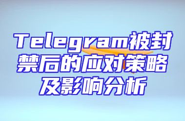 Telegram被封禁后的应对策略及影响分析
