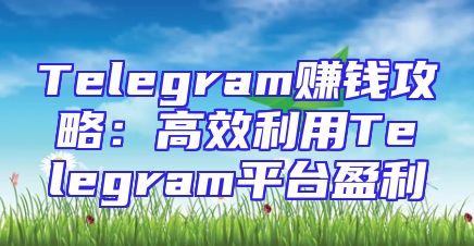 Telegram赚钱攻略：高效利用Telegram平台盈利