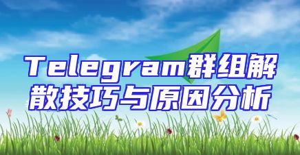 Telegram群组解散技巧与原因分析
