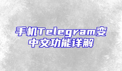手机Telegram变中文功能详解