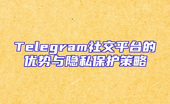 Telegram社交平台的优势与隐私保护策略