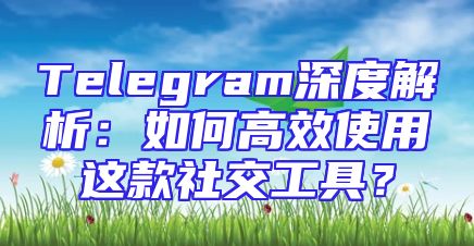 Telegram深度解析：如何高效使用这款社交工具？
