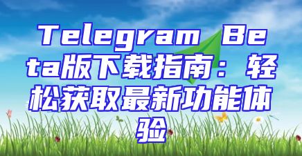 Telegram Beta版下载指南：轻松获取最新功能体验