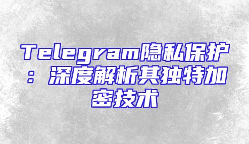 Telegram隐私保护：深度解析其独特加密技术