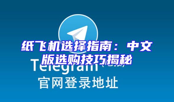 纸飞机选择指南：中文版选购技巧揭秘