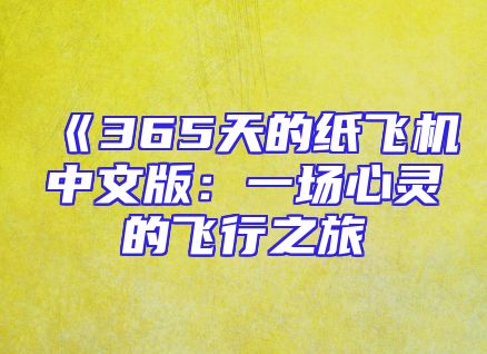 《365天的纸飞机中文版：一场心灵的飞行之旅