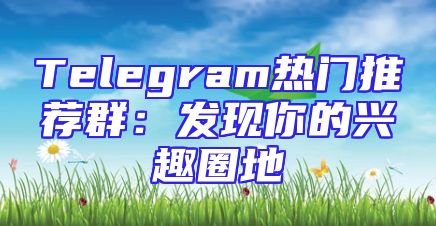 Telegram热门推荐群：发现你的兴趣圈地