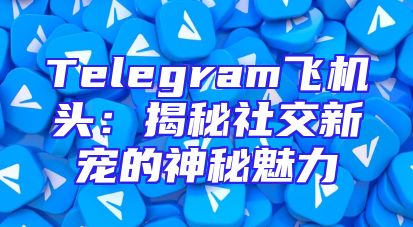 Telegram飞机头：揭秘社交新宠的神秘魅力