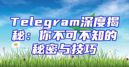 Telegram深度揭秘：你不可不知的秘密与技巧