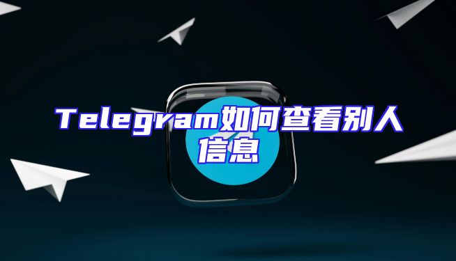 Telegram如何查看别人信息