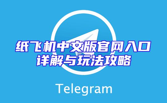 纸飞机中文版官网入口详解与玩法攻略