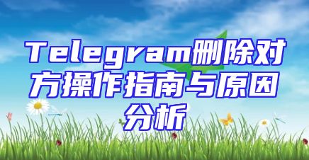 Telegram删除对方操作指南与原因分析