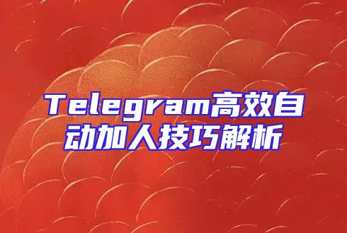 Telegram高效自动加人技巧解析
