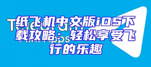 纸飞机中文版iOS下载攻略：轻松享受飞行的乐趣