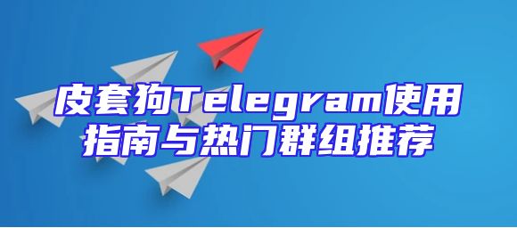 皮套狗Telegram使用指南与热门群组推荐