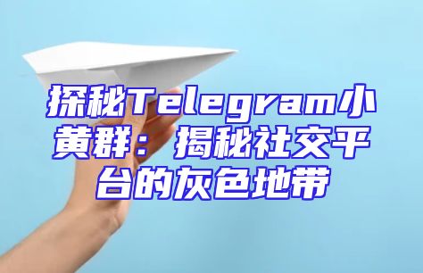 探秘Telegram小黄群：揭秘社交平台的灰色地带