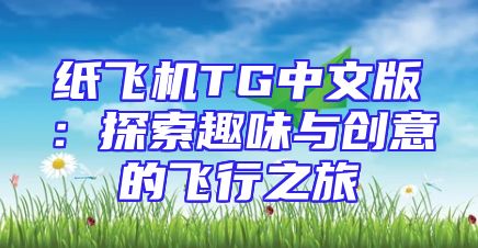 纸飞机TG中文版：探索趣味与创意的飞行之旅