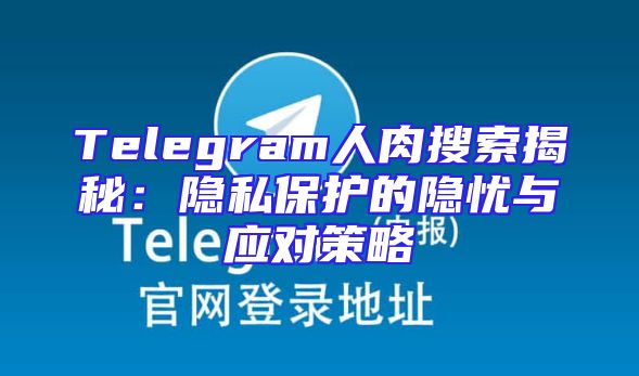 Telegram人肉搜索揭秘：隐私保护的隐忧与应对策略