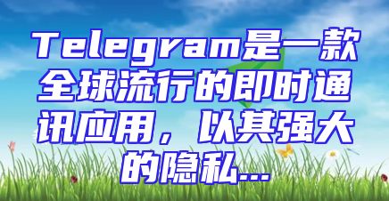 Telegram是一款全球流行的即时通讯应用，以其强大的隐私...