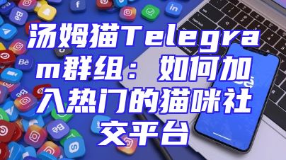 汤姆猫Telegram群组：如何加入热门的猫咪社交平台
