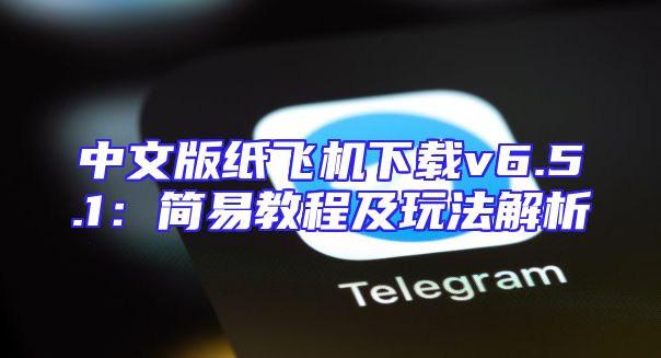 中文版纸飞机下载v6.5.1：简易教程及玩法解析