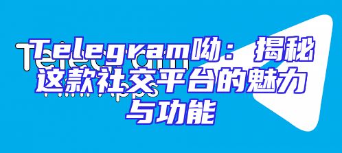 Telegram呦：揭秘这款社交平台的魅力与功能