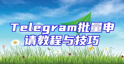 Telegram批量申请教程与技巧