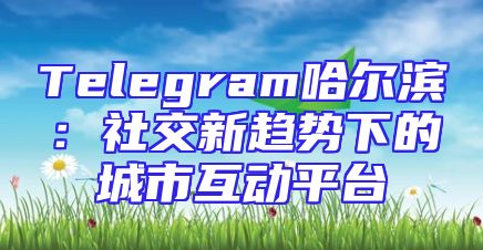 Telegram哈尔滨：社交新趋势下的城市互动平台