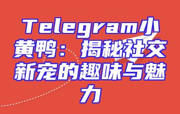 Telegram小黄鸭：揭秘社交新宠的趣味与魅力
