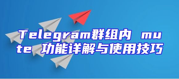 Telegram群组内 mute 功能详解与使用技巧