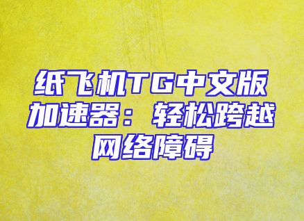 纸飞机TG中文版加速器：轻松跨越网络障碍