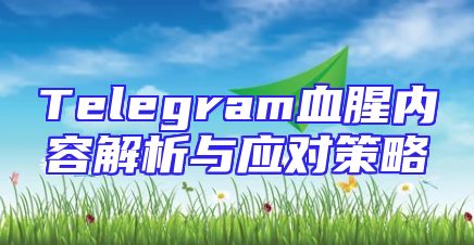 Telegram血腥内容解析与应对策略