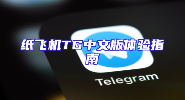 纸飞机TG中文版体验指南