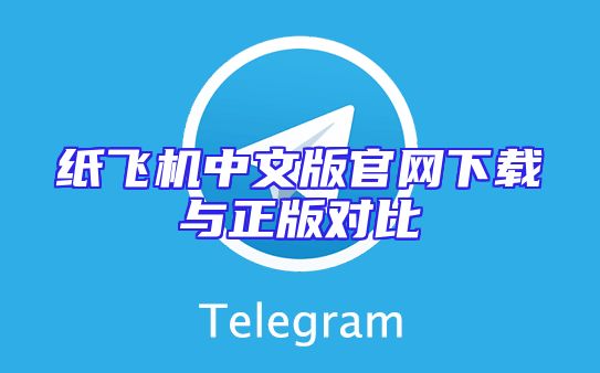 纸飞机中文版官网下载与正版对比