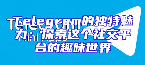 Telegram的独特魅力：探索这个社交平台的趣味世界