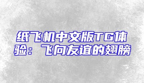 纸飞机中文版TG体验：飞向友谊的翅膀