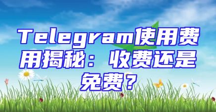 Telegram使用费用揭秘：收费还是免费？