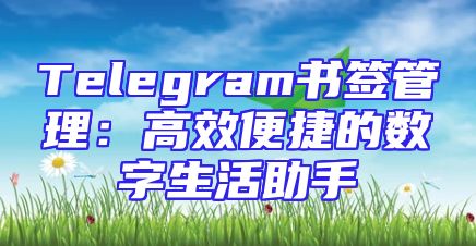 Telegram书签管理：高效便捷的数字生活助手