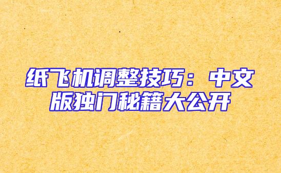 纸飞机调整技巧：中文版独门秘籍大公开