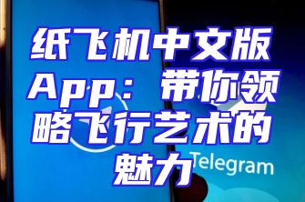 纸飞机中文版App：带你领略飞行艺术的魅力