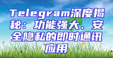 Telegram深度揭秘：功能强大、安全隐私的即时通讯应用
