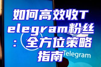如何高效收Telegram粉丝：全方位策略指南
