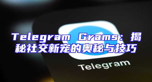 Telegram Grams：揭秘社交新宠的奥秘与技巧