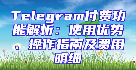 Telegram付费功能解析：使用优势、操作指南及费用明细