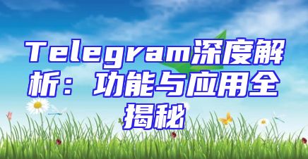 Telegram深度解析：功能与应用全揭秘