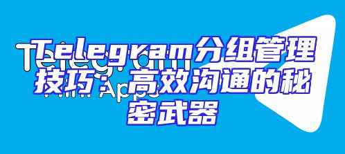 Telegram分组管理技巧：高效沟通的秘密武器