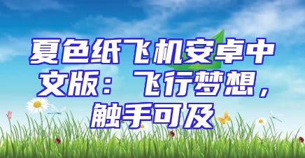 夏色纸飞机安卓中文版：飞行梦想，触手可及