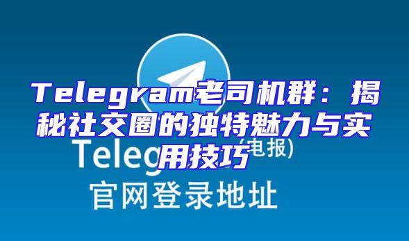 Telegram老司机群：揭秘社交圈的独特魅力与实用技巧