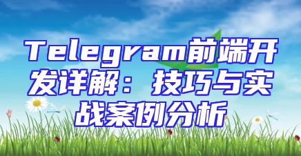 Telegram前端开发详解：技巧与实战案例分析