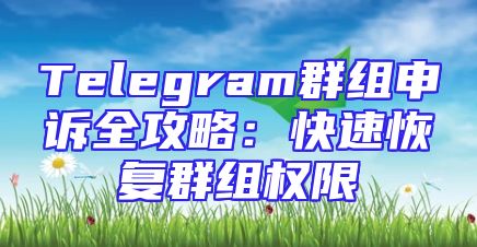 Telegram群组申诉全攻略：快速恢复群组权限